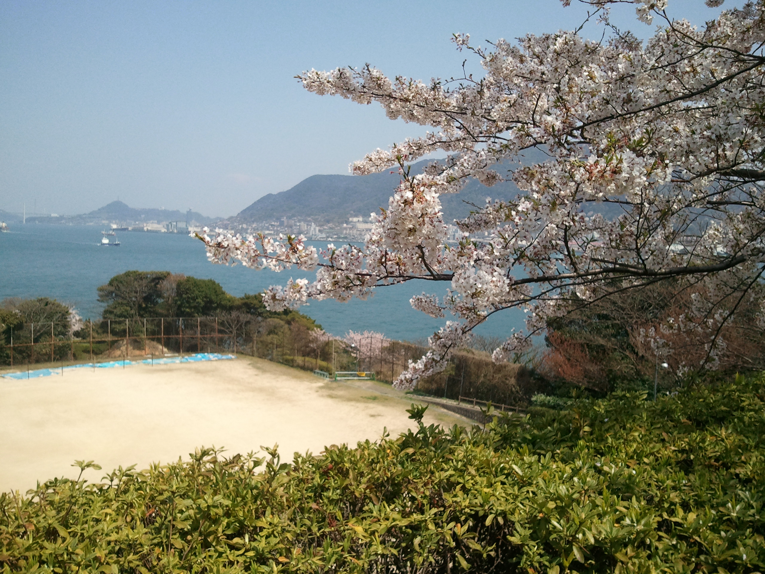 2011-04-12 12.42.29.jpg